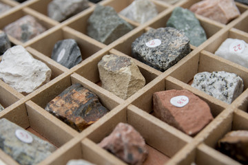 rocks and minerals inside of wooden case