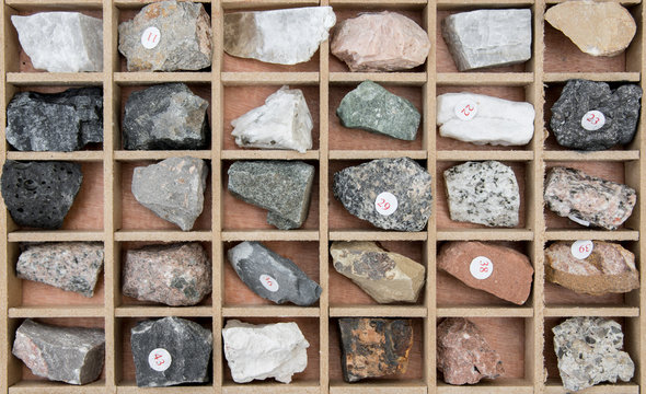 rocks and minerals inside of wooden case