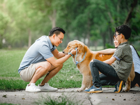 Dog Golden Retriever Playing With Asian Family In Park