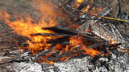 Dry branches and trees burn.