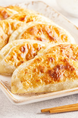Plate of asian gyoza, dumplings snack.
