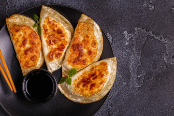 Plate of asian gyoza, dumplings snack.