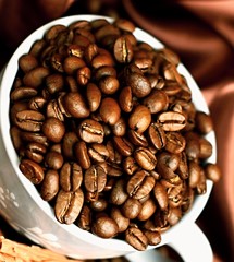 roasted coffee beans in a cup