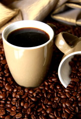 roasted coffee beans in a cup