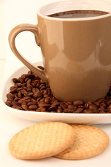 roasted coffee beans in a cup