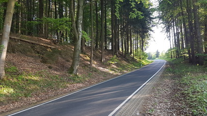 Gersfeld, Rhön und Flieder