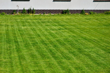 Zielony skoszony trawnik przed białym domem z podmurówką. - obrazy, fototapety, plakaty