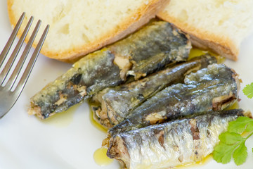 sardines