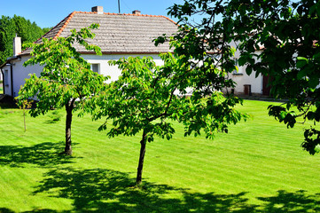 Biały domek i zielony trawnik wśród drzew na tle niebieskiego nieba.