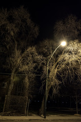 Dark and gritty street scenery with big trees and buildings at night
