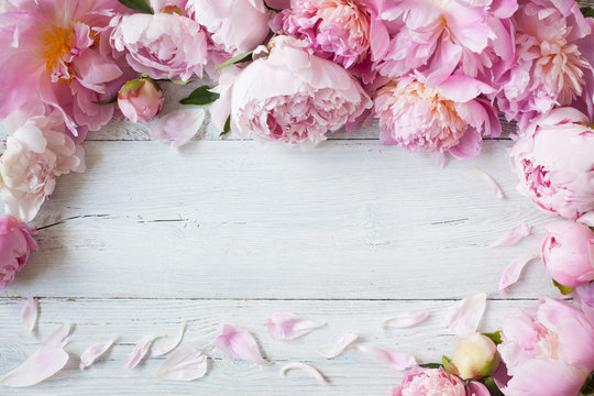 Pink peonies on a wooden background for congratulations, invitations