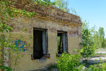 an abandoned building with trees in sunny day