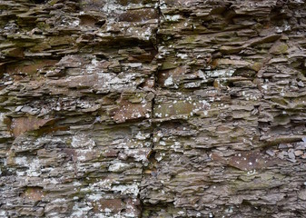 Close view of a shale rock cliff covered in lichens.