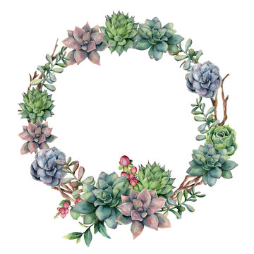 Watercolor succulent and berries wreath. Hand painted succulent, red berry and eucalyptus leaves on white background. Floral illustration for design, print, fabric or background.