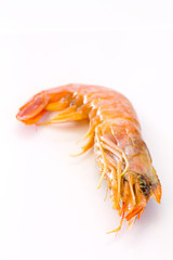 gambas