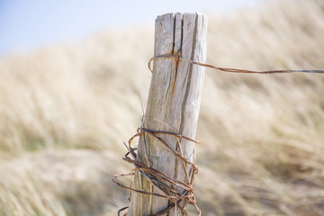 tangled wires on a wooden pole