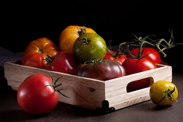 Colorful fresh tomatoes. Organic agriculture and farming concept. Seasonal autumn harvest
