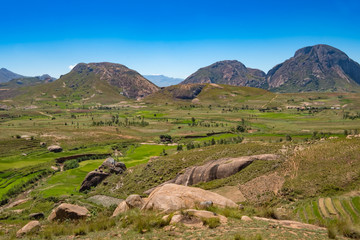 Obraz premium Anja Community Reserve, sheltered forest habitat among vast boulders with rich wildlife. It is home to the highest concentration of maki, or ring-tailed lemurs, in Madagascar.