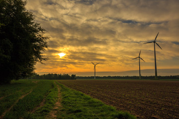 Fototapeta na wymiar Sunrise over a wind generator park located in Castrop-Rauxel, Nordrhein Westfalen, Germany.