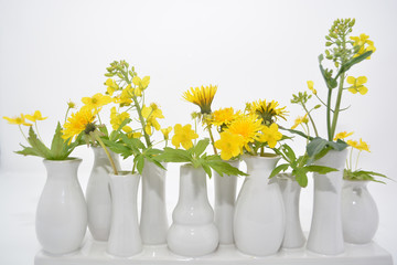 gelbe Wiesenblumen in stylischer Vasen Kombination
