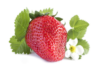 one ripe red juicy strawberry with green leaves close up