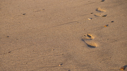 Human footprints on the sand beach. Travel vacations concept.