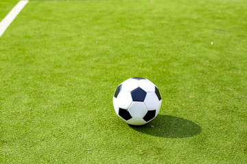 play ball on the field