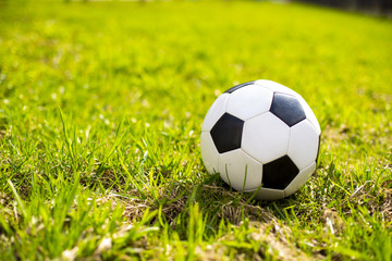 play ball on the field
