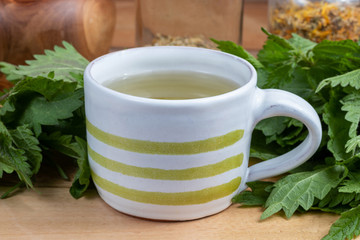 A cup of nettle tea with fresh plant
