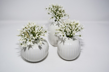 3 kleine, weiße Blumenvasen mit Bärlauch