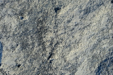 moss-covered stone. background