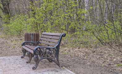 Empty vintage bench in spring park