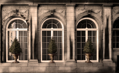 Fototapeta na wymiar Three vintage design windows on the facade of an old house, with small trees.