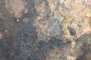 Texture Of Corrupted Paper Or Cardboard. Mold, Drops Of Water And Stains On The Panel. Vintage Grungy. Background. Close-Up.