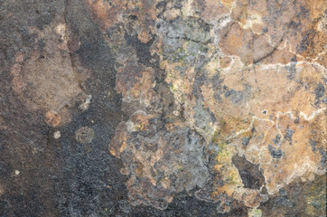 Texture Of Corrupted Paper Or Cardboard. Mold, Drops Of Water And Stains On The Panel. Vintage Grungy. Background. Close-Up.