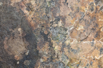 Texture Of Corrupted Paper Or Cardboard. Mold, Drops Of Water And Stains On The Panel. Vintage Grungy. Background. Close-Up.