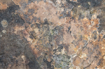 Texture Of Corrupted Paper Or Cardboard. Mold, Drops Of Water And Stains On The Panel. Vintage Grungy. Background. Close-Up.