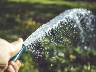 close up shot of person holding a hose and pour the grass in the garden