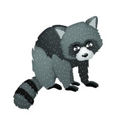 A small, cute raccoon.