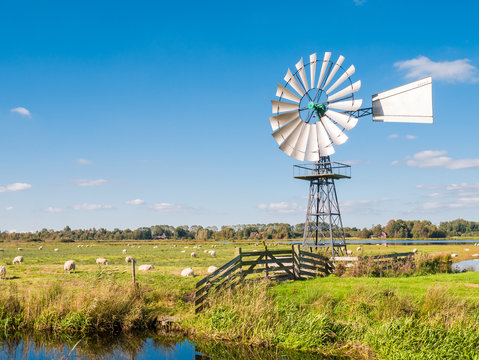 Meadow, moor and windmill in nature reserve Oude Venen between Eernewoude en Oudega, Friesland, Netherlands
