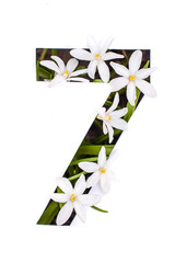 Number seven: white stencil with small flowers