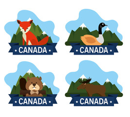Fototapeta premium canadian culture group of animals vector illustration design