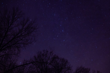 The Night Sky is full of Constellations in Ottertail county in Central Minnesota