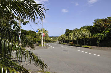 島の道路