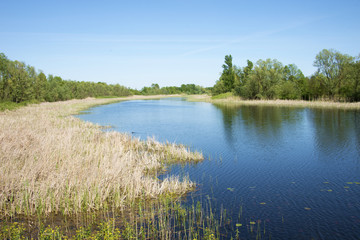 Fototapeta premium Special national park and resort Zasavica in Serbia, Europe, landscape