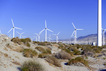 Wind turbines creating renewable energy on windfarm in desert with mountain background, a technology to move away from fossil fuels