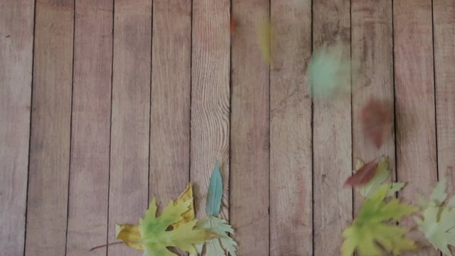 wind blows autumn into foliage on the wooden deck