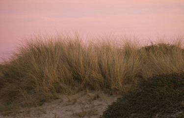 Sand Dune at Sunset - Moss Landing CA 0002