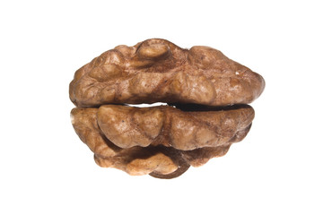 walnut isolated on white background