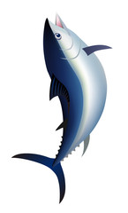 ジャンプするマグロ